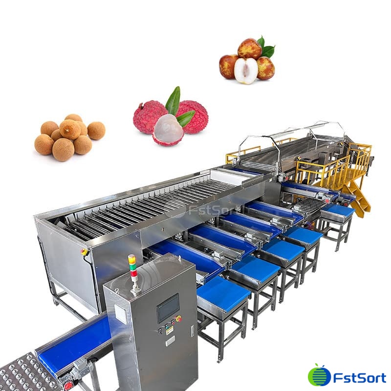 images/1768806348493jujube 2.jpg